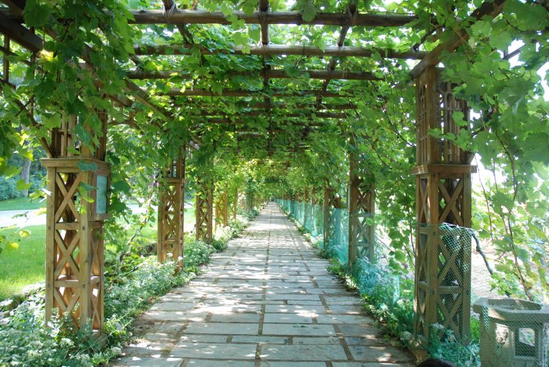 Trellis Construction in Conroe, TX