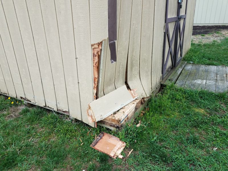 Shed Repair in Kansas City, KS